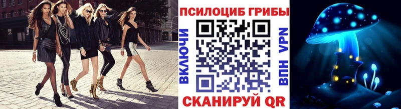Галлюциногенные грибы мухоморы наркотики Вольск