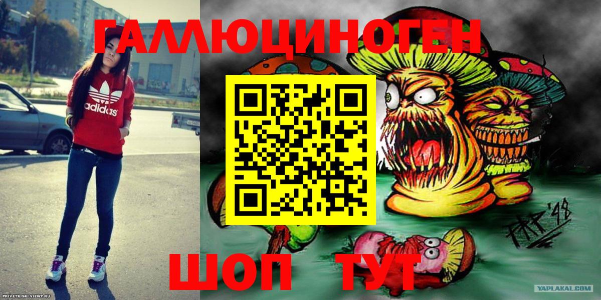 Псилоцибиновые грибы Cubensis Вольск