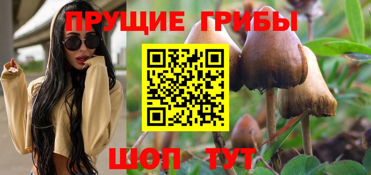 Галлюциногенные грибы Magic Shrooms  закладки  Вольск  Вход с VPN 