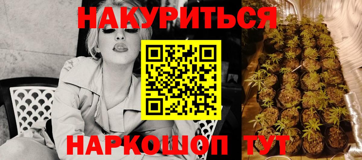 Канабис конопля Вольск